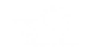 Das Bild zeigt ein Logo in Weiß. In der Mitte stehen die Buchstaben 'BSH' groß geschrieben. Darüber und darunter sind kleinere Wörter zu sehen, die schwer lesbar sind. Rechts oben gibt es Kreise, die wie Blasen aussehen.